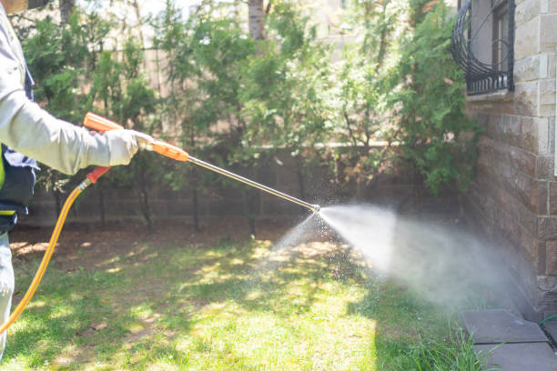 Best Wildlife Control Services  in Weweantic, MA