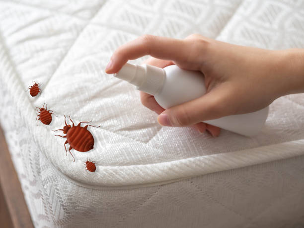 Best Best Pest Control Near Me  in Weweantic, MA